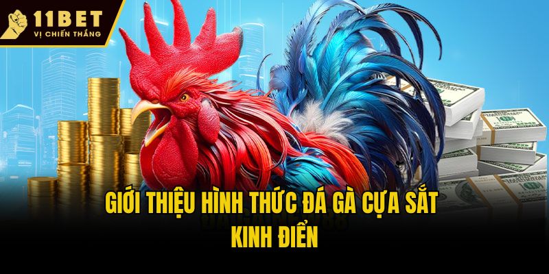 Giới thiệu hình thức đá gà cựa sắt kinh điển